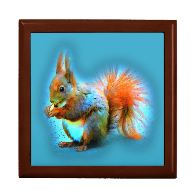 Squirrel in modern style gift box (Front)