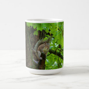 Squirrel in Oak Tree Nature Mug