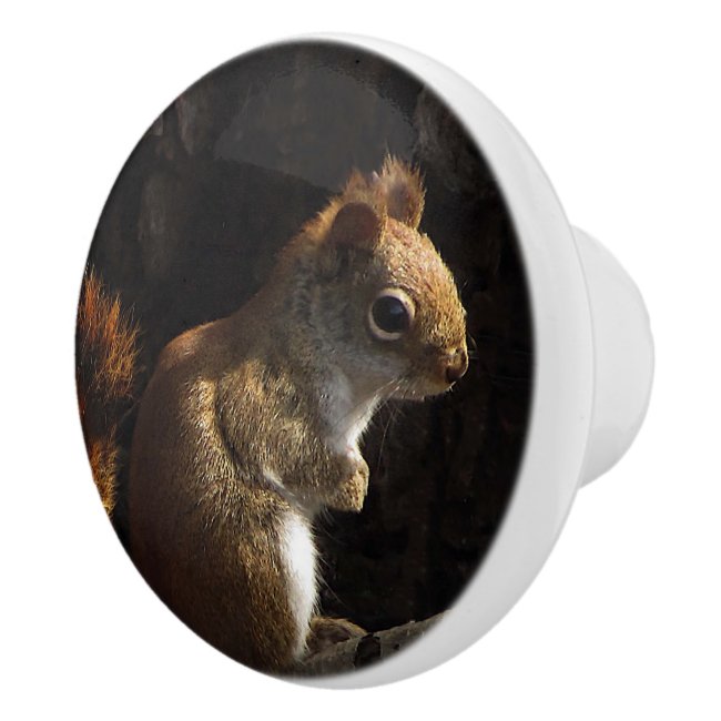 Squirrel in Patch of Sunlight Ceramic Knob