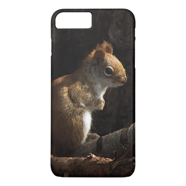 Squirrel in Patch of Sunlight iPhone 8/7 Plus Case
