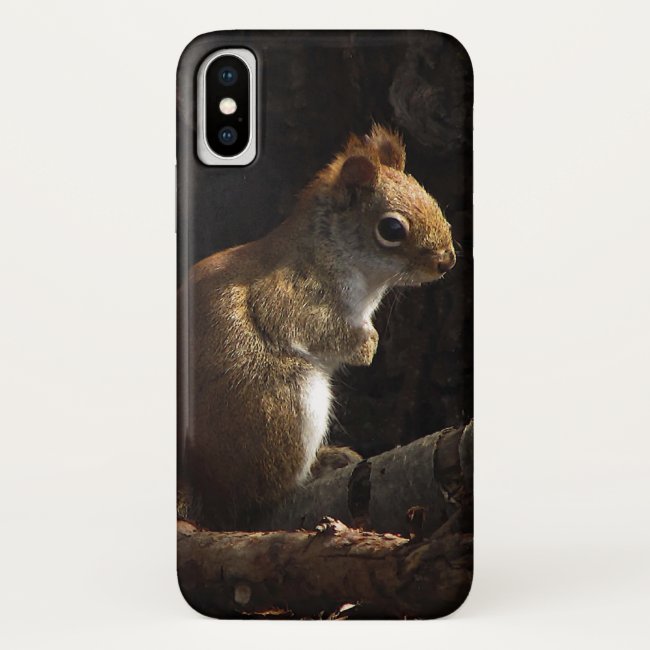 Squirrel in Patch of Sunlight iPhone X Case