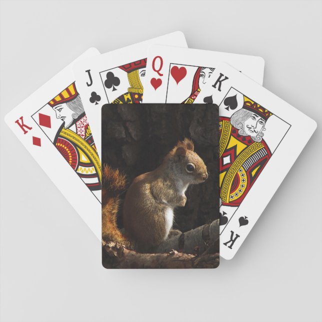 Squirrel in Patch of Sunlight Playing Cards (Back)