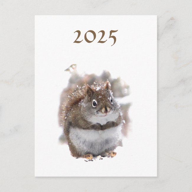 Squirrel in Snow 2025 Calendar on Back Postcard