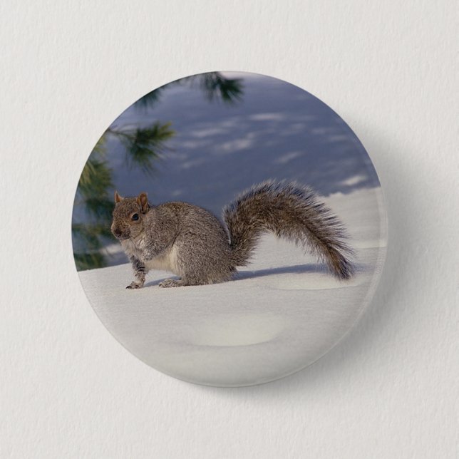 Squirrel in Snow Button (Front)