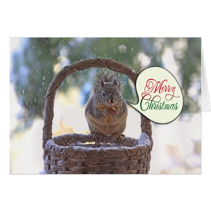 Squirrel in Snow Saying Merry Christmas Greeting Cards
