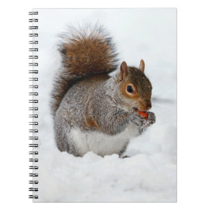 Squirrel in Snow with Berry Notebook