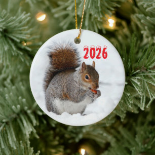 Squirrel in Snow with Berry Ornament
