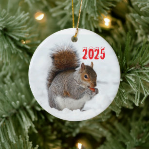 Squirrel in Snow with Berry Ornament