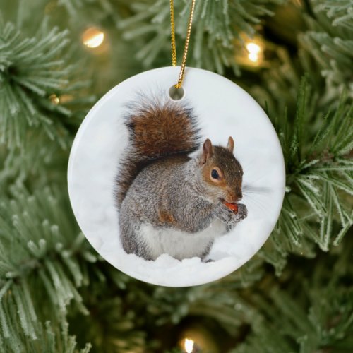 Squirrel in Snow with Berry Ornament