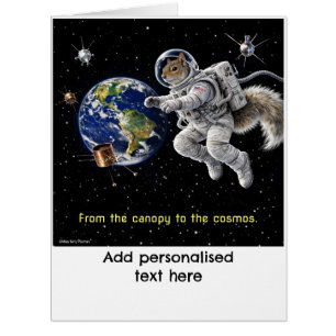 Squirrel in Space Cards