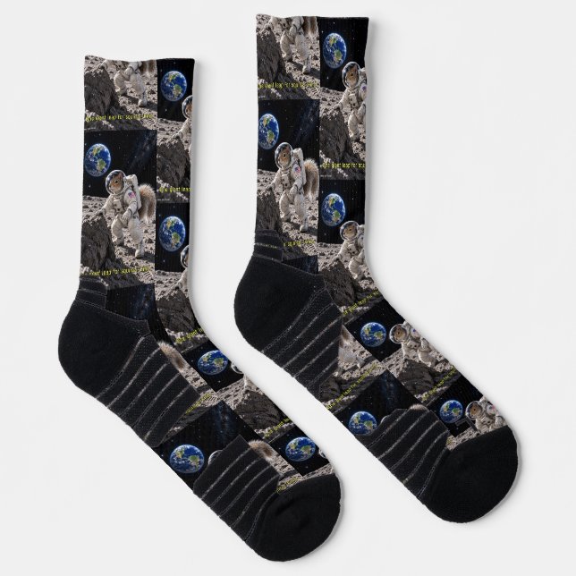 Squirrel in Space Socks (Right)