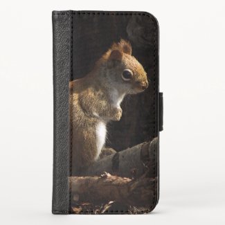 Squirrel in Sunlight iPhone X Wallet Case