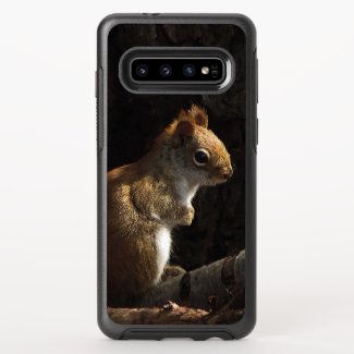 Squirrel in Sunlight OtterBox Galaxy S10 Case