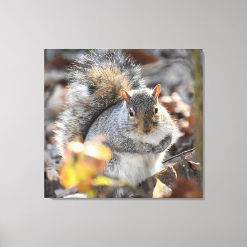Squirrel In The Leaves  Canvas Print