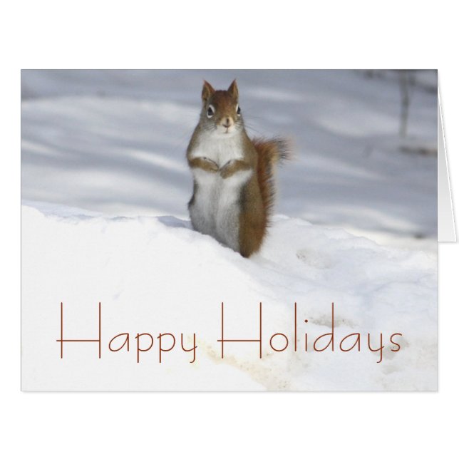 Squirrel in the Snow (Front Horizontal)
