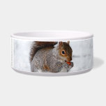 Squirrel in the snow bowl<br><div class="desc">add text or upload your own image</div>