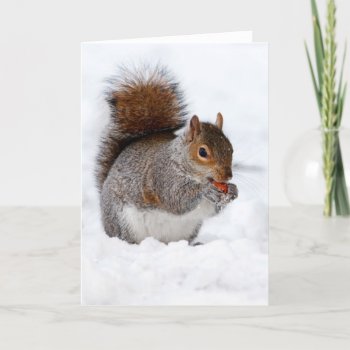 Squirrel In The Snow Card by pdphoto at Zazzle
