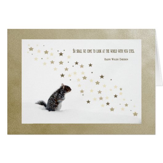 Squirrel in the snow cards (Front Horizontal)