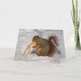 Squirrel in the snow greeting card