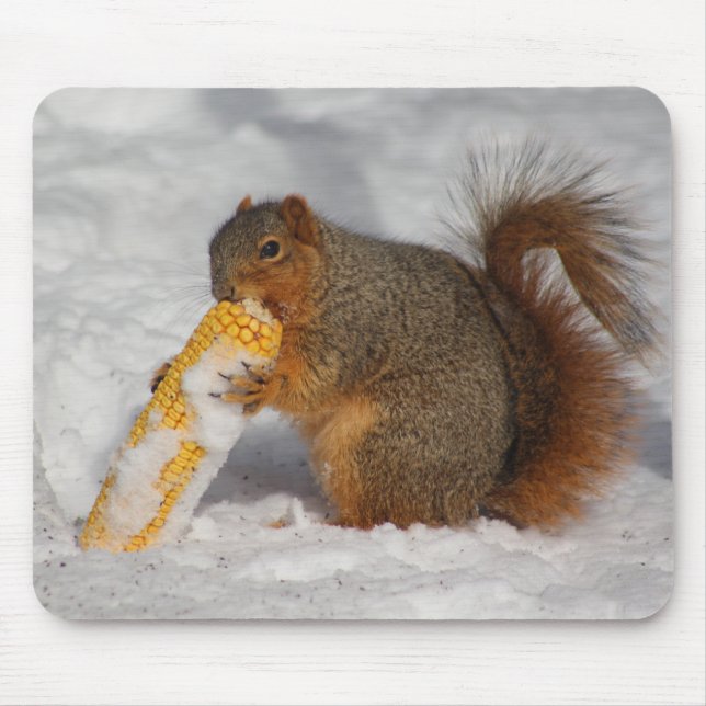 Squirrel in the snow mouse pad (Front)