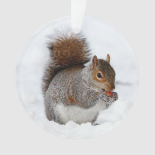 Squirrel in the Snow Ornament