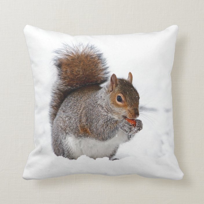 squirrel throw pillow