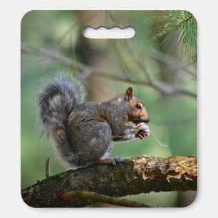 Squirrel in The Woods Kneeler or Seat Cushion
