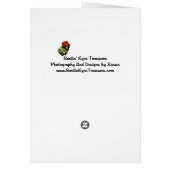 Squirrel In Tree Animal Art Card (Back)