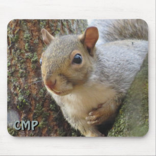 Squirrel In Tree  Mouse Pad