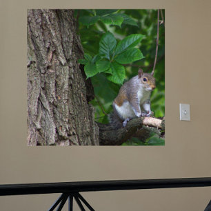Squirrel in Tree Photo Poster