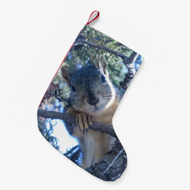 Squirrel in Tree - Small Christmas Stocking (Front (Hanging))