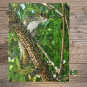 Squirrel in Tree Wildlife Photography Jigsaw Puzzle