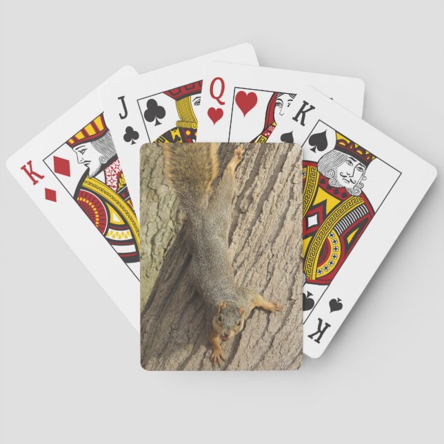 Squirrel in Tree with Nut Photo Poker Cards (Back)