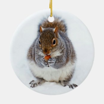 Squirrel In Winter Ceramic Ornament by MissMatching at Zazzle