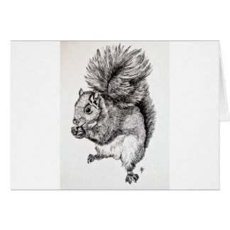 Squirrel Ink Illustration Cards