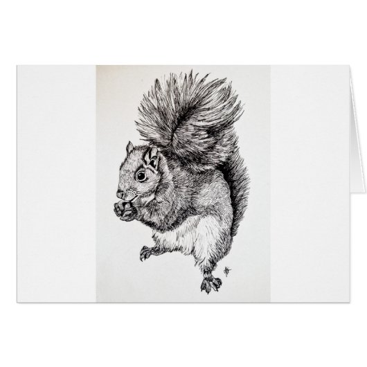 Squirrel Ink Illustration Cards (Front Horizontal)