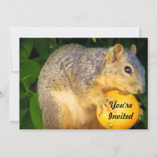 Squirrel_ Invitation