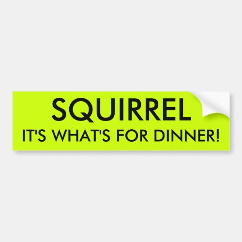 SQUIRREL ITS WHATS FOR DINNER BUMPER STICKER