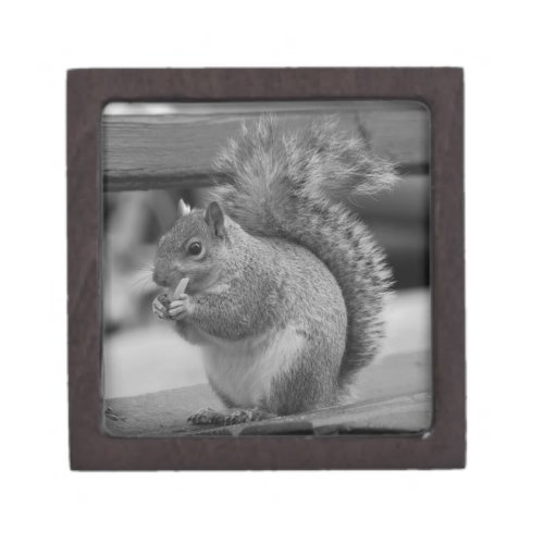 Squirrel Jewelry Box