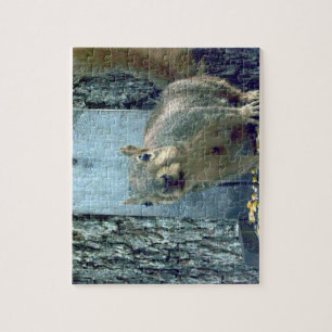 Squirrel Jigsaw Puzzle