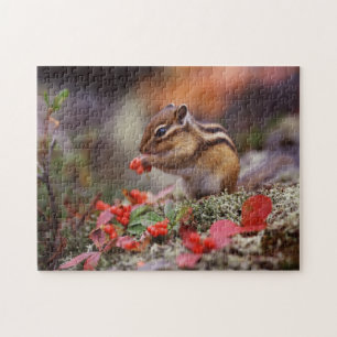 Squirrel Jigsaw Puzzle