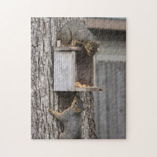 Squirrel Jigsaw Puzzle