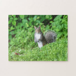 Squirrel Jigsaw Puzzle