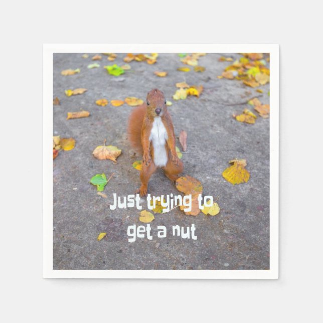 squirrel Just trying to get a nut Napkins (Front)