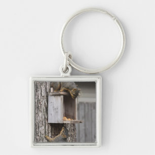 Squirrel Key Chain