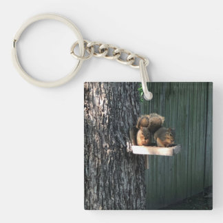 Squirrel Keychain