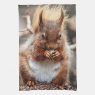 Squirrel Kitchen towel