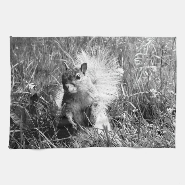 squirrel kitchen towel (Horizontal)