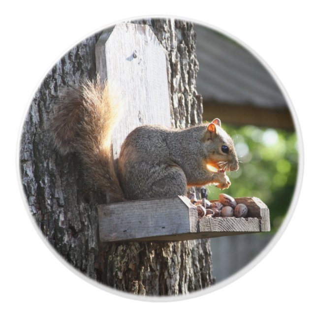 Squirrel Knobs (Front)