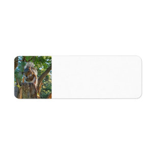 Squirrel Label